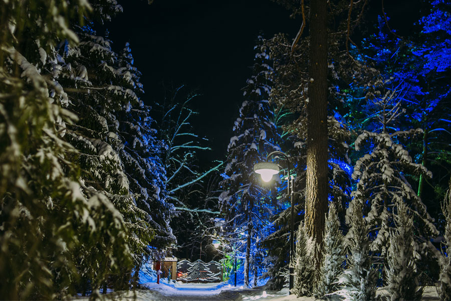 Загородный клуб елки воронеж
